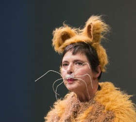 rossellini-Isaballa-zoo