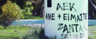 41-aek
