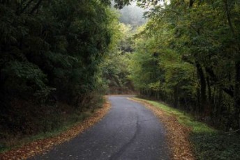 mainalo