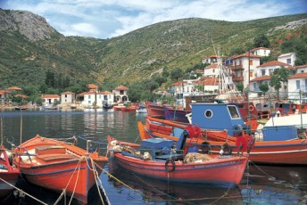 trikeri