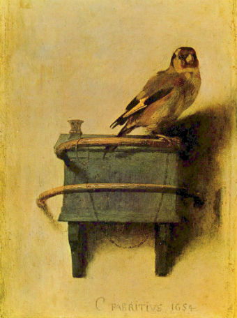 vivlio-Tartt-Karderina-3