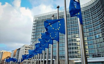 5 - eu flags - reyters
