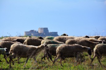 Nauplio-Bourtzi-provata