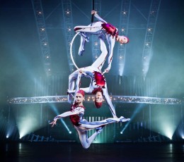 Quidam-Cirque Du Soleil