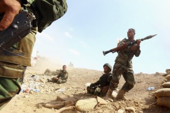 syria-stratiotes