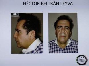 beltran-levia