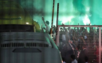 palmeiras