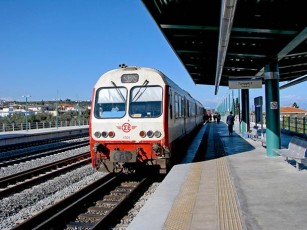 trainose2